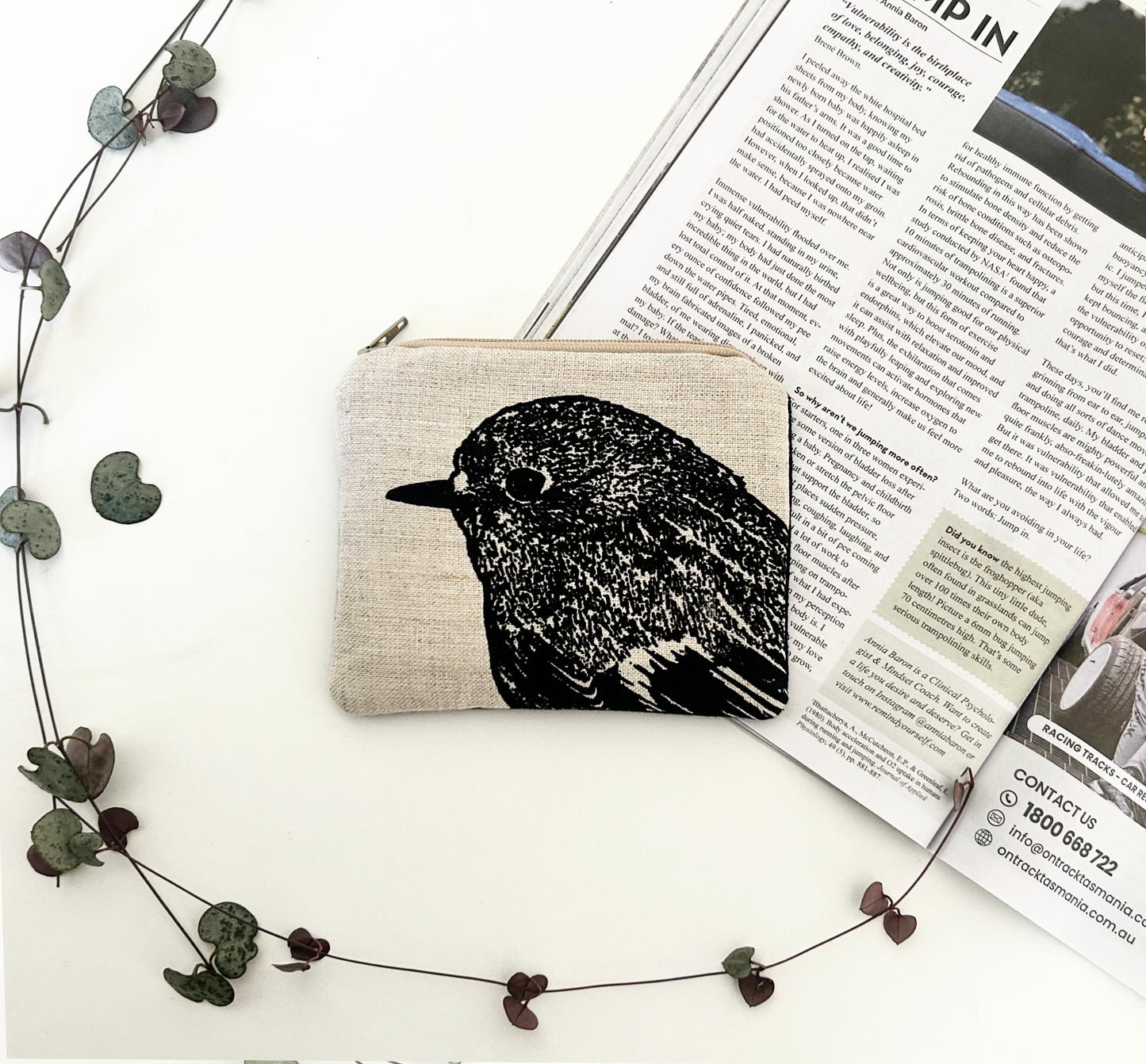Robin coin purse
